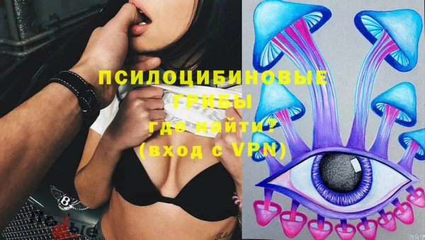 ГАЛЛЮЦИНОГЕННЫЕ ГРИБЫ Переславль-Залесский