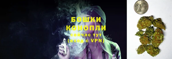 дживик Абаза