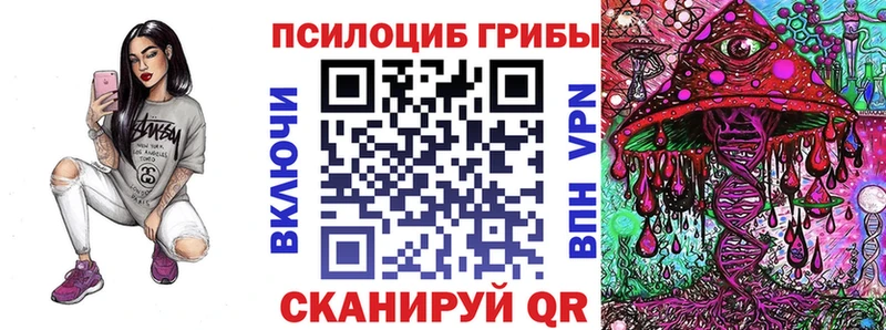 что такое наркотик Нижняя Тура Псилоцибиновые грибы Psilocybe